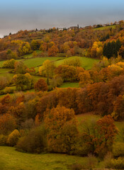 Paysage d'automne..