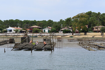 Cap Ferret