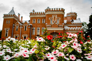 Fototapeta na wymiar Petunias in front of the palace