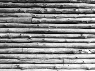 Wooden texture in black and white