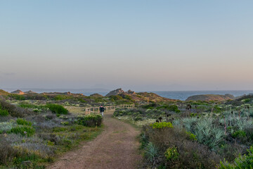 Fototapeta premium Trail at the coast of central Chile on a sunset light