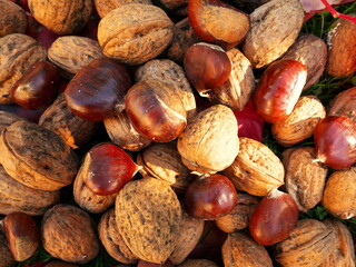 Natural textured background of fall foods, nut and chestnut blend