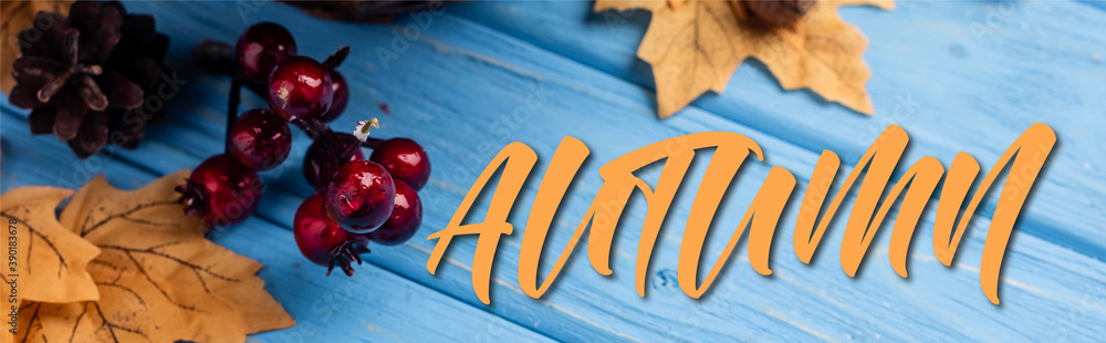 Wall mural Panoramic concept of autumnal leaves, berries, acorns and cones near autumn lettering on blue wooden background - Wall murals