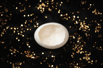 Eggshell on black fur with golden glitter close up