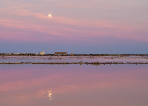 Salins de Gruissan