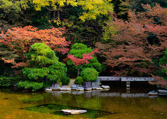 the water in the Japanese garden 