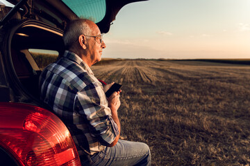 Senior farmer siting in car boot, watching wheat field after harvest at sunset.