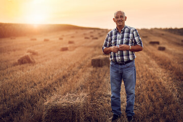 Portrait of senior farmer standing in field with bales of hay at sunset.