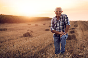 Naklejka na ściany i meble Portrait of senior farmer standing in field with bales of hay at sunset.