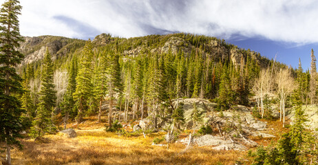 Trees and mountains in the Rocky Mountain National Park, Colorado