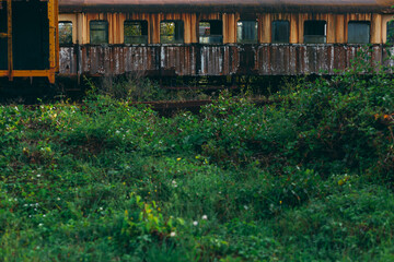 Old abandoned yellow train in scrap yard, forgotten and overgrown with nature, rusty and with broken windows