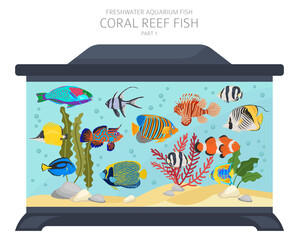 Coral reef fish. Freshwater aquarium fish icon set flat style isolated on white