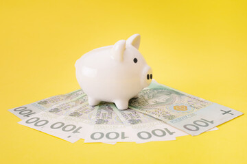 Przychód - finanse - tarcza antykryzysowa - polskie pieniądze i świnka skarbonka © Karolina Chaberek