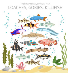 Naklejka premium Loaches, gobies, killfish. Freshwater aquarium fish icon set flat style isolated on white