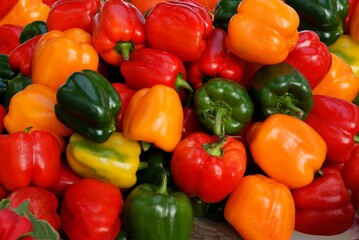 Obraz na płótnie Canvas multicolor fruits of pepper vegetable close up