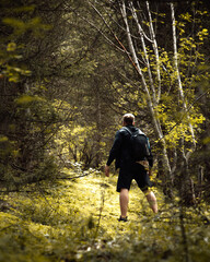 person walking in the woods