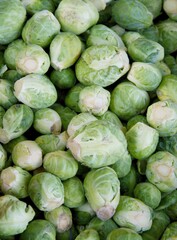 Fototapeta na wymiar brussels sprouts as tasty vegetable