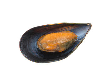 mussels isolated
