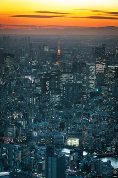 Aerial view of illuminated Tokyo Tower in city during sunrise
