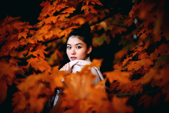 Portrait of woman standing amidst autumn leaves