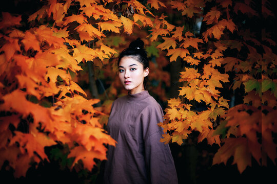 Portrait of woman standing amidst autumn leaves