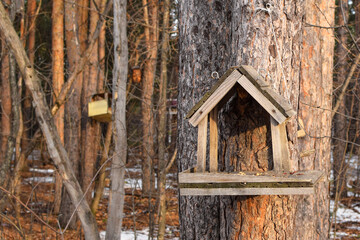 Wooden bird feeder in the autumn park. Bird feeder during the cold season.