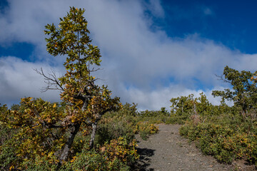 Sierra Norte de Guadalajara Natural Park, Cantalojas, Guadalajara, Spain
