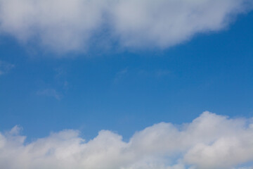 Fototapeta premium 初夏の空