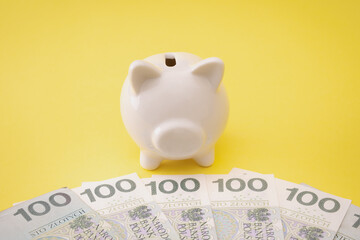 Przychód - finanse - tarcza antykryzysowa - polskie pieniądze i świnka skarbonka © Karolina Chaberek