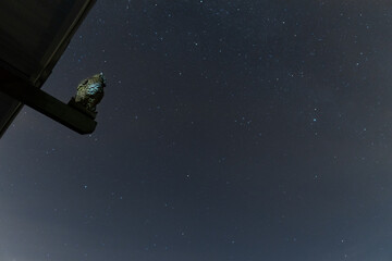 Wooden statuette of an owl on the roof of the house, under the stars