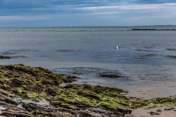 Noirmoutier couleur 10