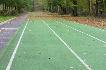 Autumn view of running track in the park