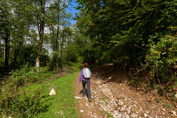 Fototapeta premium Backpacker lady in the forest