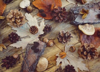 Autumn still life with fir cones and natural materials on a wooden background