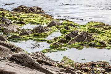 Noirmoutier couleur 21