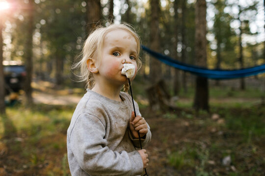 Portrait of girl (2-3) eating marshmallow in forest, Wasatch Cache National Forest