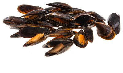 mussels isolated