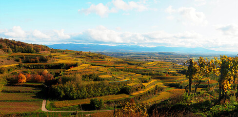 Katzer Richtung S&uuml;dschwarzwald