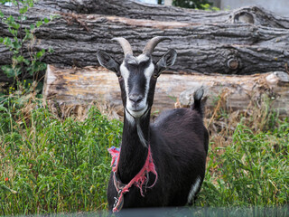 OLYMPUS DIGITAL CAMERA © Marta