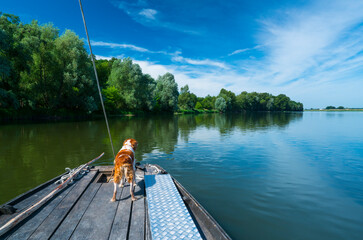 Traditional boat tour, Loire River, Chaumond-sur-Loire, Loir-et-Cher Department, The Loire Valley, France, Europe
