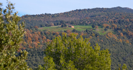 Fototapeta premium Vista del parque nacional del montseny, catalunya, españa