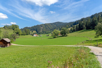 Grüne Landschaft im Allgäu