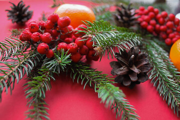 The spirit of Christmas, nature decorations: fir branches, cones, bright red Rowan berries and tangerines on a red background