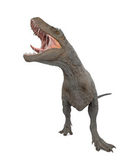 Fototapeta premium tyrannosaurus rex is calling the others