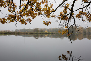 City Riga, Latvia. Lake in autumn with trees and grass. Natural flora.