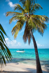 a beach with a coconut palm tree and a boat in the sea in the background the turquoise sea