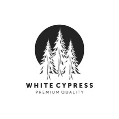white cypress logo vector illustration design