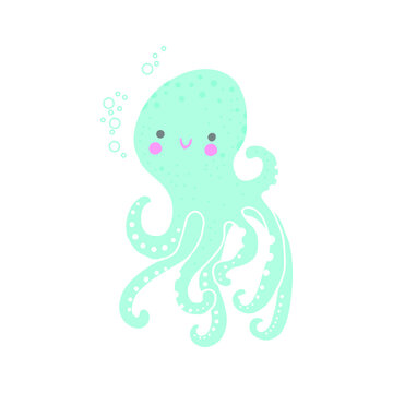 octopus on the white background