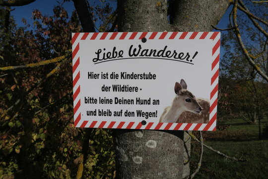 Schild im Wald in Stuttgart: Wanderer sollen auf junge Wildtiere aufpassen, den Hund anleinen und auf den Wegen bleiben.