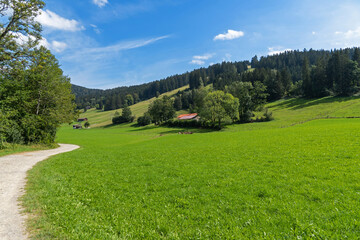 Fototapeta na wymiar Grüne Landschaft im Allgäu